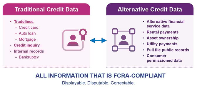 Experian Alternative Data Graphic Experian Alternative Data Graphic