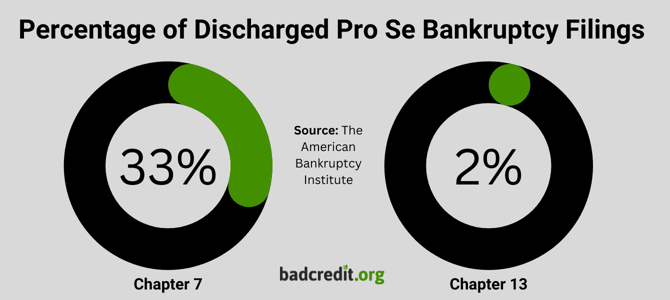 Pro Se bankruptcy filings graphic Pro Se bankruptcy filings graphic