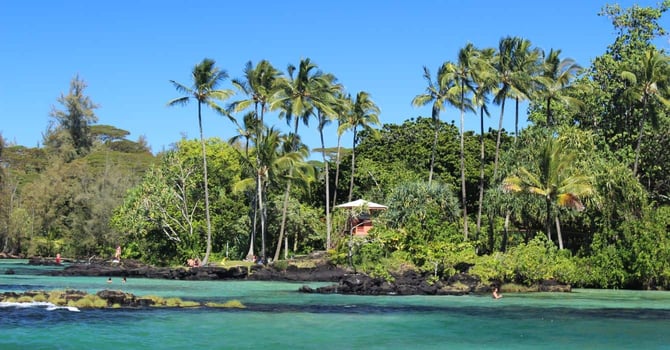 Photo of Hilo Photo of Hilo
