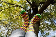 Maine State Credit Union sock drive image Maine State Credit Union sock drive image