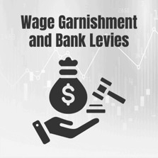 Wage Garnishment and Bank Levies infographic