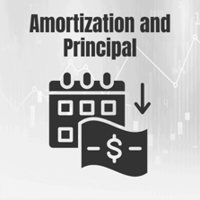 Amortization and Principal icon