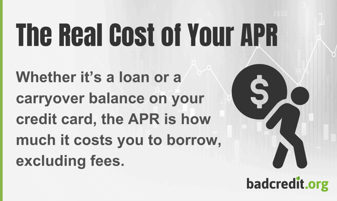 The Real Cost of Your APR Infographic The Real Cost of Your APR Infographic