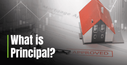 What is Principal? Explanation & Tips For Effectively Paying Down Your Balances