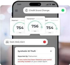 IDIQ interface graphic
