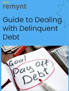 Remynt debt guide Remynt debt guide