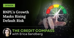 Opinion: BNPL’s Growth Masks Rising Default Risk