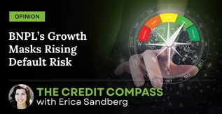 Opinion: BNPL’s Growth Masks Rising Default Risk