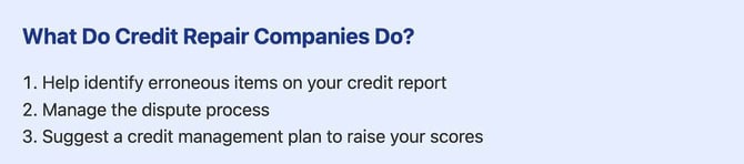 Screenshot from Sky Blue Credit repair of what credit repair services can offer