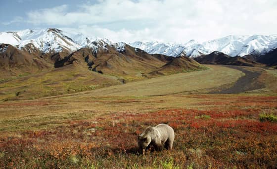 Alaska