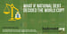 What If National Debt Decided the World Cup?