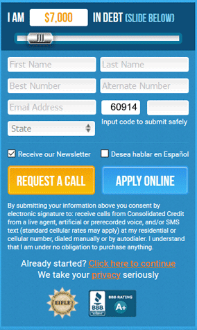 Screenshot of Consolidated Credit Online Application Screenshot of Consolidated Credit Online Application