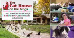 The Cat House on the Kings — A California Rescue that Helps Control Pet Populations and Enables Low-Cost Adoptions