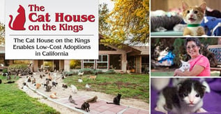 The Cat House on the Kings Enables Low-Cost Adoptions in California