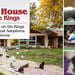 The Cat House on the Kings — A California Rescue that Helps Control Pet Populations and Enables Low-Cost Adoptions