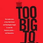 Too Big to Fail Too Big to Fail