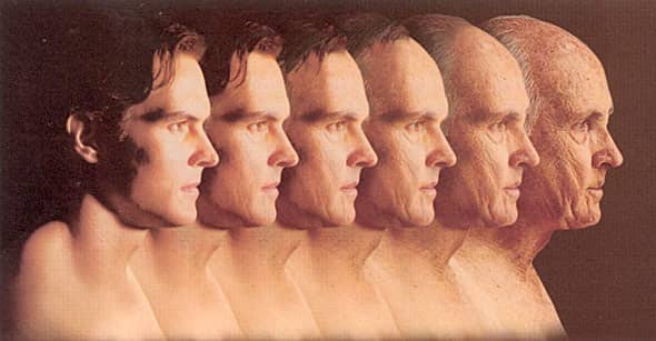 agingface2(web) agingface2(web)