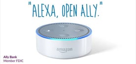 Screenshot of the Ally Skillâ  for Alexa