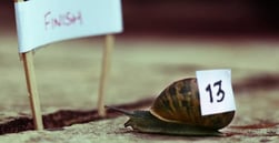 Study Says Credit Unions Expect Mortgage Growth to Slow