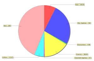 Buddi Pie Chart Report