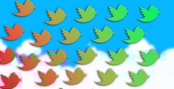 The Consequences of Using Social Network Data for Credit Scores