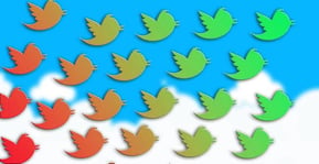 The Consequences of Using Social Network Data for Credit Scores