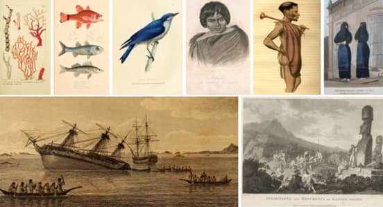 Images from Works Found in the Beagle Library Images from Works Found in the Beagle Library