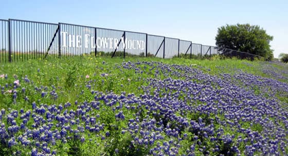 Flower Mound, Texas