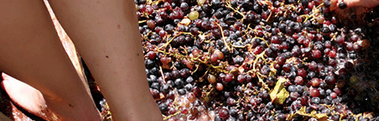 Photo from Julian Grape Stomp Fiesta Photo from Julian Grape Stomp Fiesta