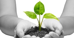 6 Steps to Building Credit From the Ground Up