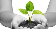 6 Steps to Building Credit From the Ground Up