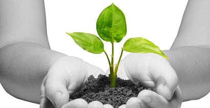 6 Steps To Building Credit From The Ground Up 6 Steps To Building Credit From The Ground Up