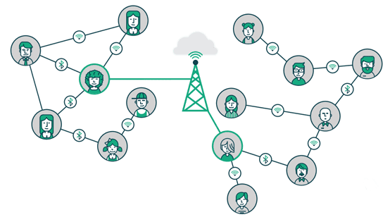 RightMesh Graphic RightMesh Graphic
