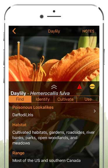 Wild Edibles Forage App Screenshot Wild Edibles Forage App Screenshot