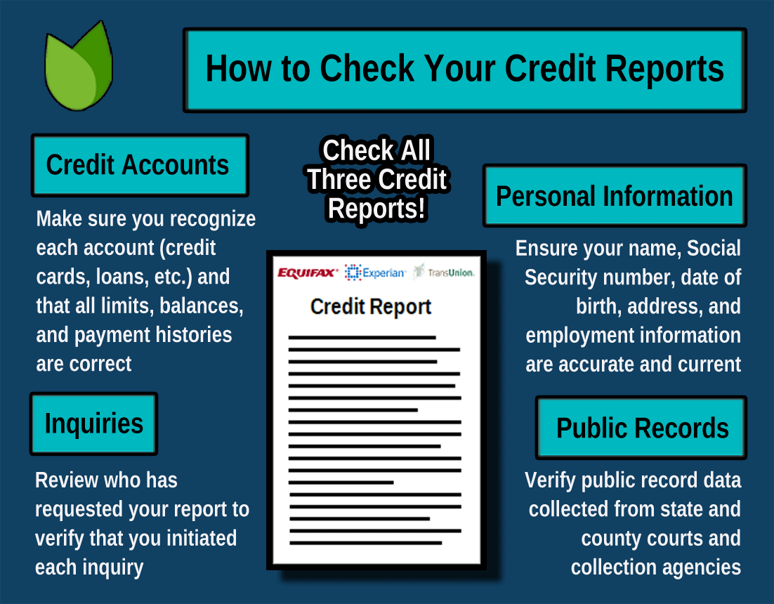 Credit Report Evaluation Infographic Credit Report Evaluation Infographic