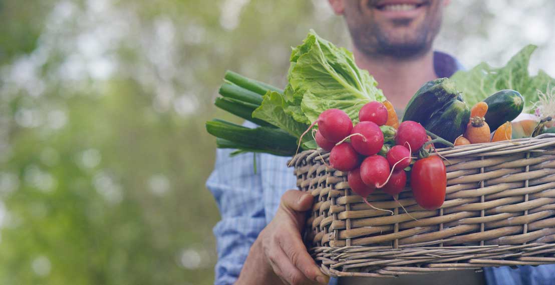 Organic Farmer Holding Vegetables Organic Farmer Holding Vegetables