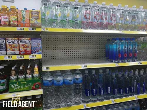 Field Agent Display Photo Field Agent Display Photo