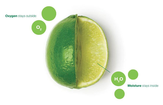 Apeel Lime Detailed Screenshot Apeel Lime Detailed Screenshot