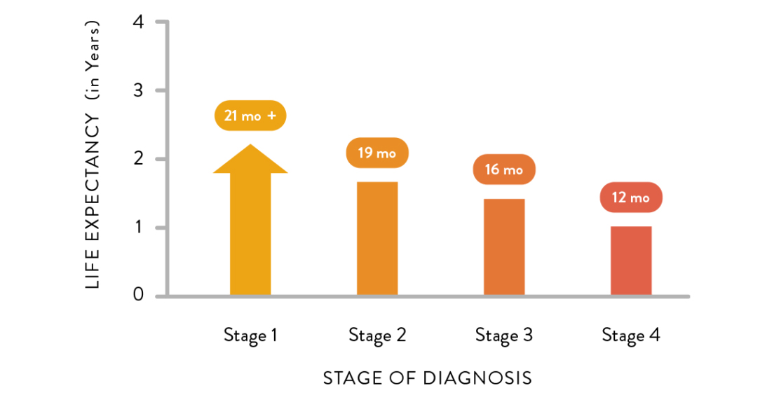 Mesothelioma life expectancy chart Mesothelioma life expectancy chart
