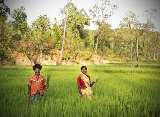 Oxfam India Photo of People in a Field Oxfam India Photo of People in a Field