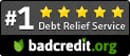 Debt Relief Badge