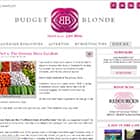 Budget Blonde Budget Blonde