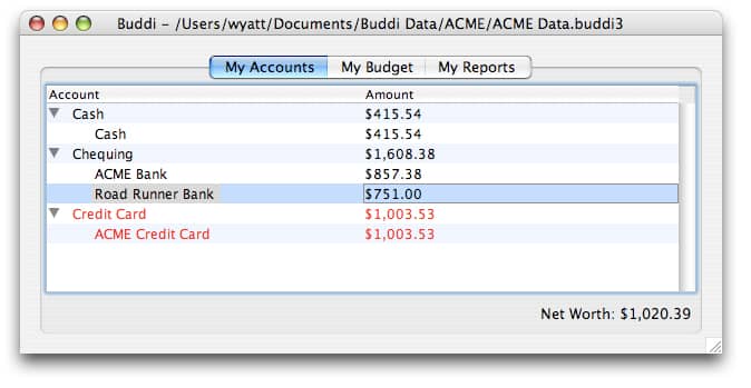 buddi personal budget software simplifies money management