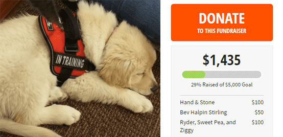 CrowdRise Helps People Facing Hardships Screenshot of different CrowdRise campaigns